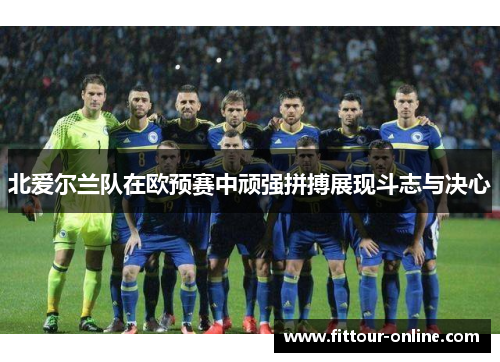 北爱尔兰队在欧预赛中顽强拼搏展现斗志与决心
