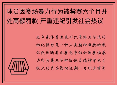 球员因赛场暴力行为被禁赛六个月并处高额罚款 严重违纪引发社会热议